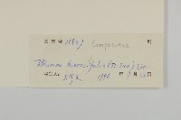 毛將軍藏品圖，第3張