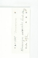 近圓果杜英藏品圖，第3張