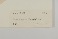 生毛將軍藏品圖，第3張