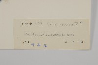 福建賽衛矛、福建假衛矛藏品圖，第3張