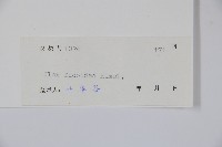 臺灣糊樗藏品圖，第2張