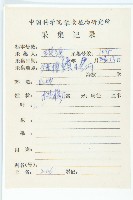 紅葉藤藏品圖，第2張