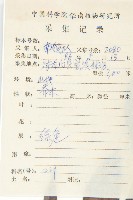 軟毛柿藏品圖，第2張