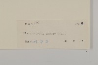 燈豎朽藏品圖，第3張