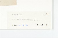 鈍葉朝顏藏品圖，第3張