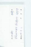 冬桃藏品圖，第3張