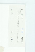 絞股藍藏品圖，第3張