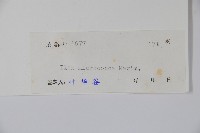 朱紅水木藏品圖，第2張