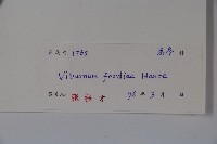 南方莢迷藏品圖，第2張