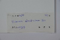 珊瑚樹藏品圖，第2張