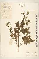 豨簽藏品圖，第1張