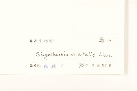 豨簽藏品圖，第3張