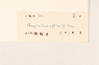 鼠麴草藏品圖，第3張