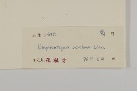 燈豎朽藏品圖，第3張