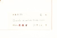 蔓黃菀藏品圖，第3張