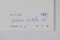 水東哥藏品圖，第2張