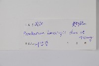 毛杜仲藤藏品圖，第2張