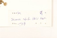 嶺南野菊藏品圖，第3張