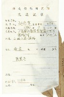 亮葉杜英藏品圖，第2張