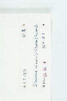 猴歡喜藏品圖，第3張