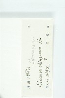 百色猴歡喜藏品圖，第3張