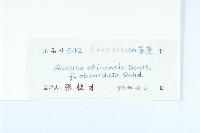 登錄號:S041278藏品圖，第3張