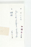 大苞赤瓟藏品圖，第3張