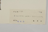 下田菊藏品圖，第3張