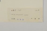 登錄號:S041433藏品圖，第3張