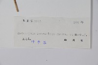 羊乳、四葉參藏品圖，第2張