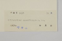 登錄號:S041652藏品圖，第3張