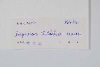 登錄號:S041671藏品圖，第2張