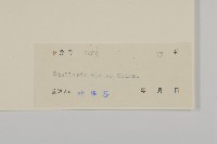 雀舌草藏品圖，第3張