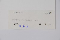 宿柱三角咪藏品圖，第2張