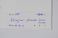 八角楓藏品圖，第2張