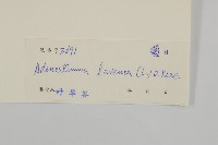 下田菊藏品圖，第3張