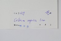 青葙藏品圖，第2張