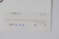 登錄號:S041899藏品圖，第2張