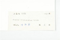 小棶木藏品圖，第3張