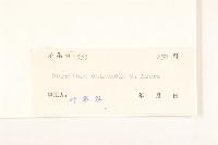 華麻花頭藏品圖，第3張