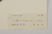 下田菊藏品圖，第3張