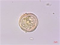 登錄號:S041968藏品圖，第3張