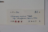 登錄號:S041970藏品圖，第2張