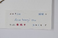 建始槭藏品圖，第2張