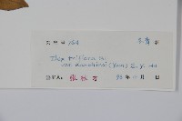 金平氏冬青藏品圖，第2張