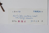 京梨獼猴桃藏品圖，第2張