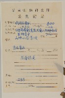 煙管草藏品圖，第2張