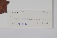 華南樺藏品圖，第2張