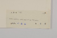 南蛇藤藏品圖，第3張