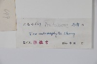 登錄號:S042191藏品圖，第2張